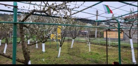 ������� ������ | Imot.bg � ����� ������ 5
