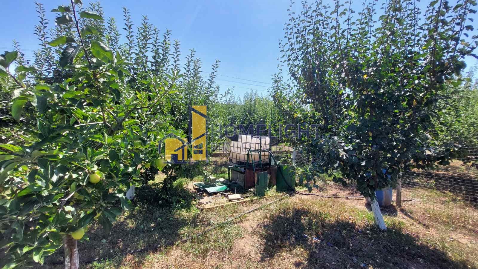 Продава ПАРЦЕЛ, с. Телиш, област Плевен, снимка 5 - Парцели - 53439116