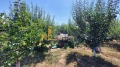 Продава ПАРЦЕЛ, с. Телиш, област Плевен, снимка 5
