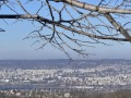 Продава ПАРЦЕЛ, град Варна, м-т Боровец - север • 105000 € • 72658417 3