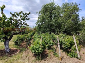 ������� ���� | Imot.bg � ����� ������ 8