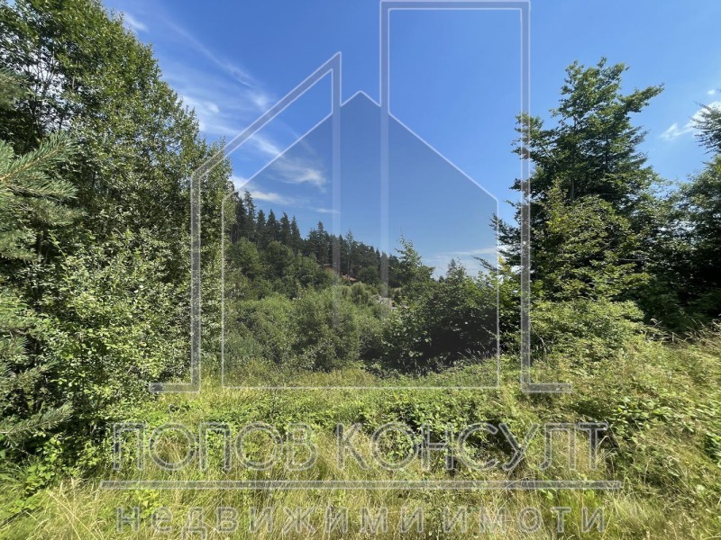 For Sale  Plot region Pazardzhik , yaz. Batak , 507 sq.m | 31506928
