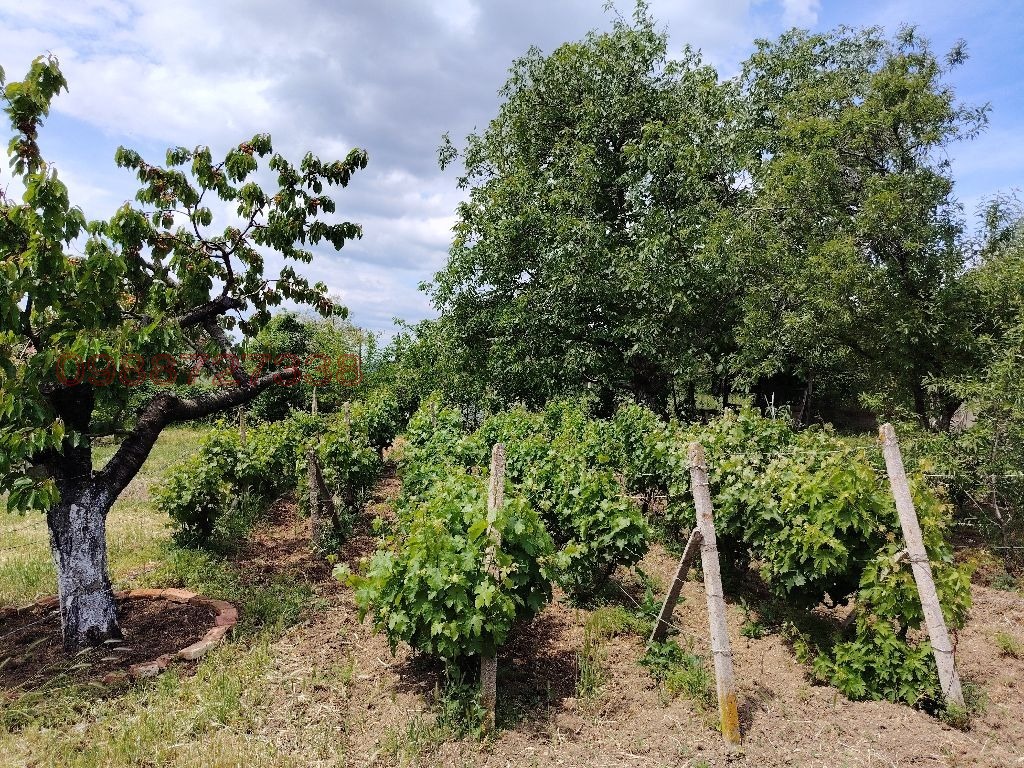 Продава КЪЩА, с. Дълбоки, област Стара Загора, снимка 8 - Къщи - 54709722