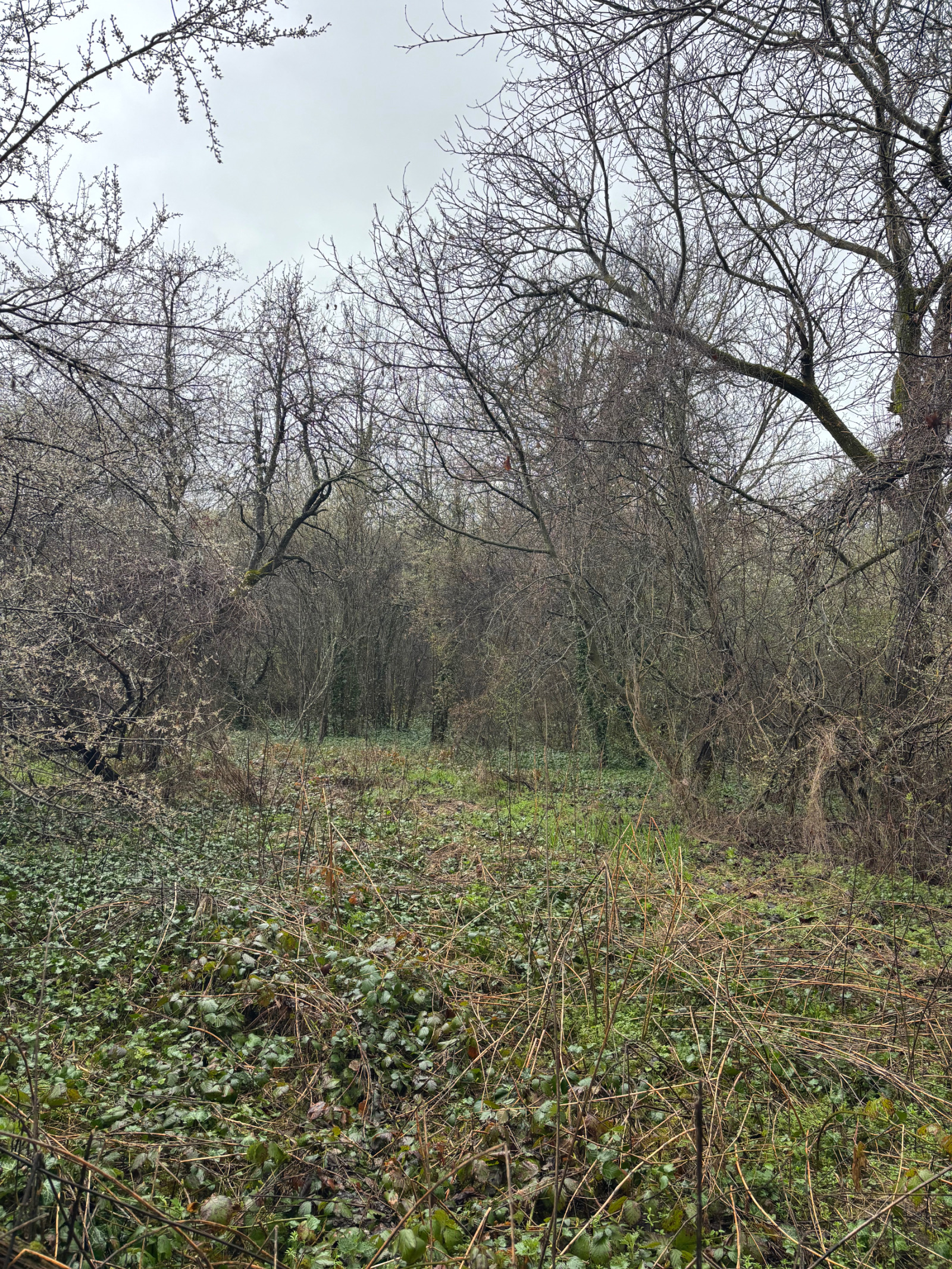 ������� ���� | Imot.bg � ����������� 12