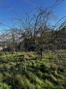 ������� ���� | Imot.bg � ����� ������ 15