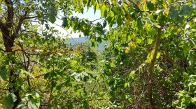 ������� ������ | Imot.bg � ����� ������ 8