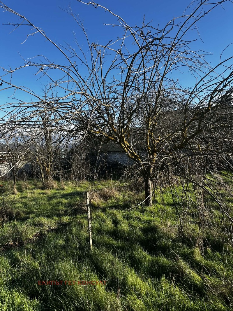 Продава КЪЩА, с. Сушина, област Шумен, снимка 14 - Къщи - 51909523