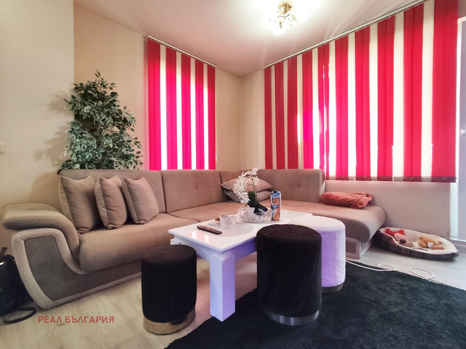 Продава 2-СТАЕН, гр. Русе, Чародейка - Юг