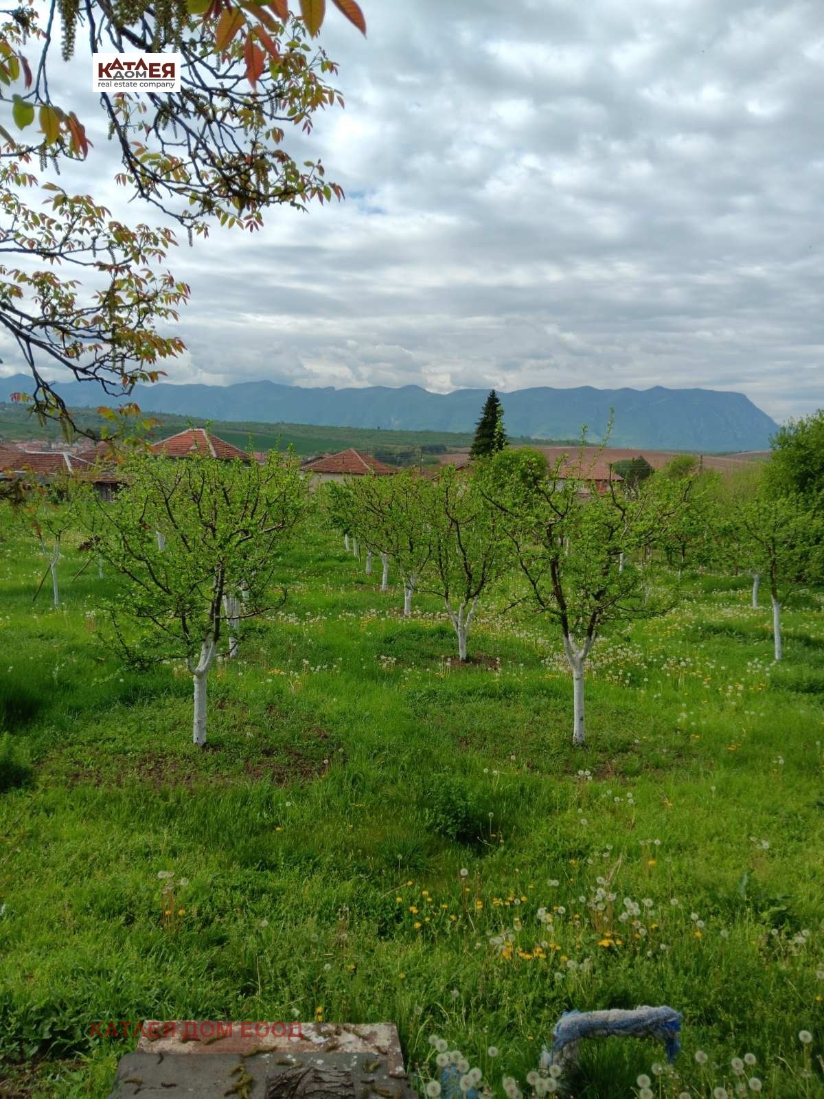 ������� ������ | Imot.bg � ����������� 2