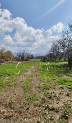 Будинок Златитрап, область Пловдив 10