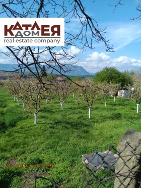 ����� ������� ������,�. ������, ������ �����