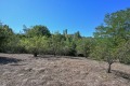 Продава ПАРЦЕЛ, област Габрово, с. Поповци • 9000 € • 83114456 — Holmes.bg