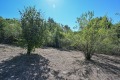 Продава ПАРЦЕЛ, област Габрово, с. Поповци • 9000 € • 83114456 — Holmes.bg