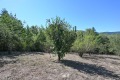 Продава ПАРЦЕЛ, област Габрово, с. Поповци • 9000 € • 83114456 — Holmes.bg