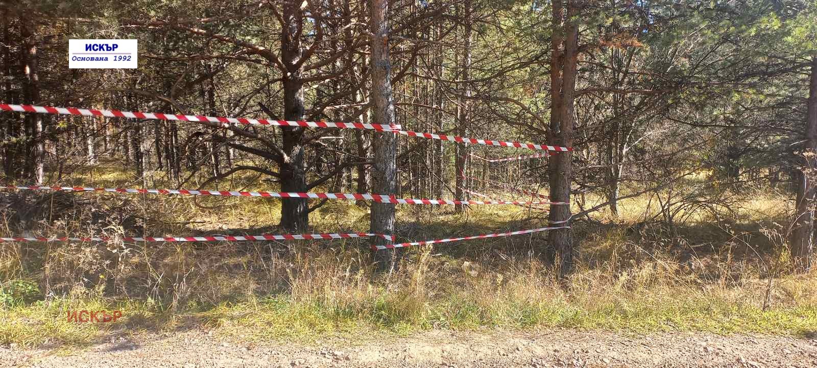 ������� ������ | Imot.bg � ����������� 7