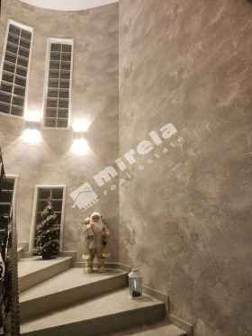 ����� ������� ����,���� ������, ������