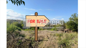 ������ ������� ������