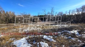 ������� ������ | Imot.bg � ����� ������ 12