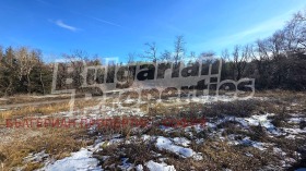 ������� ������ | Imot.bg � ����� ������ 15