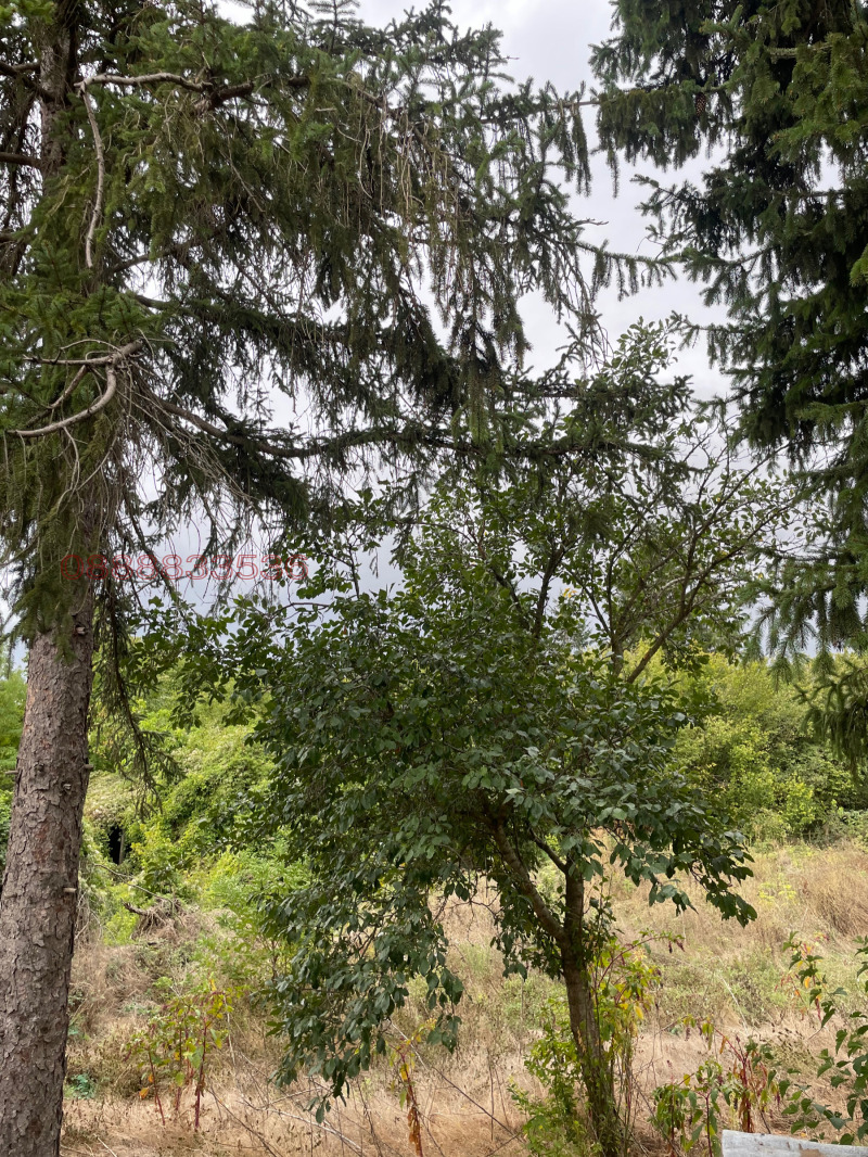 Продава КЪЩА, с. Горски Сеновец, област Велико Търново, снимка 16 - Къщи - 53436830