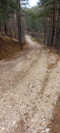 Продава ПАРЦЕЛ, в.з.Ярема, област София област, снимка 4