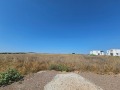 Продава ПАРЦЕЛ, с. Пролеша, област София област, снимка 5