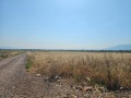 Продава ПАРЦЕЛ, с. Пролеша, област София област, снимка 2