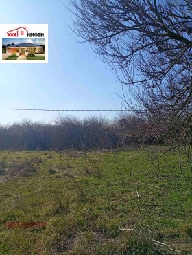 ������� ���� | Imot.bg � ����� ������ 12