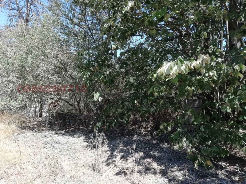 Продава ПАРЦЕЛ, с. Крапец, област Добрич, снимка 4 - Парцели - 52782218