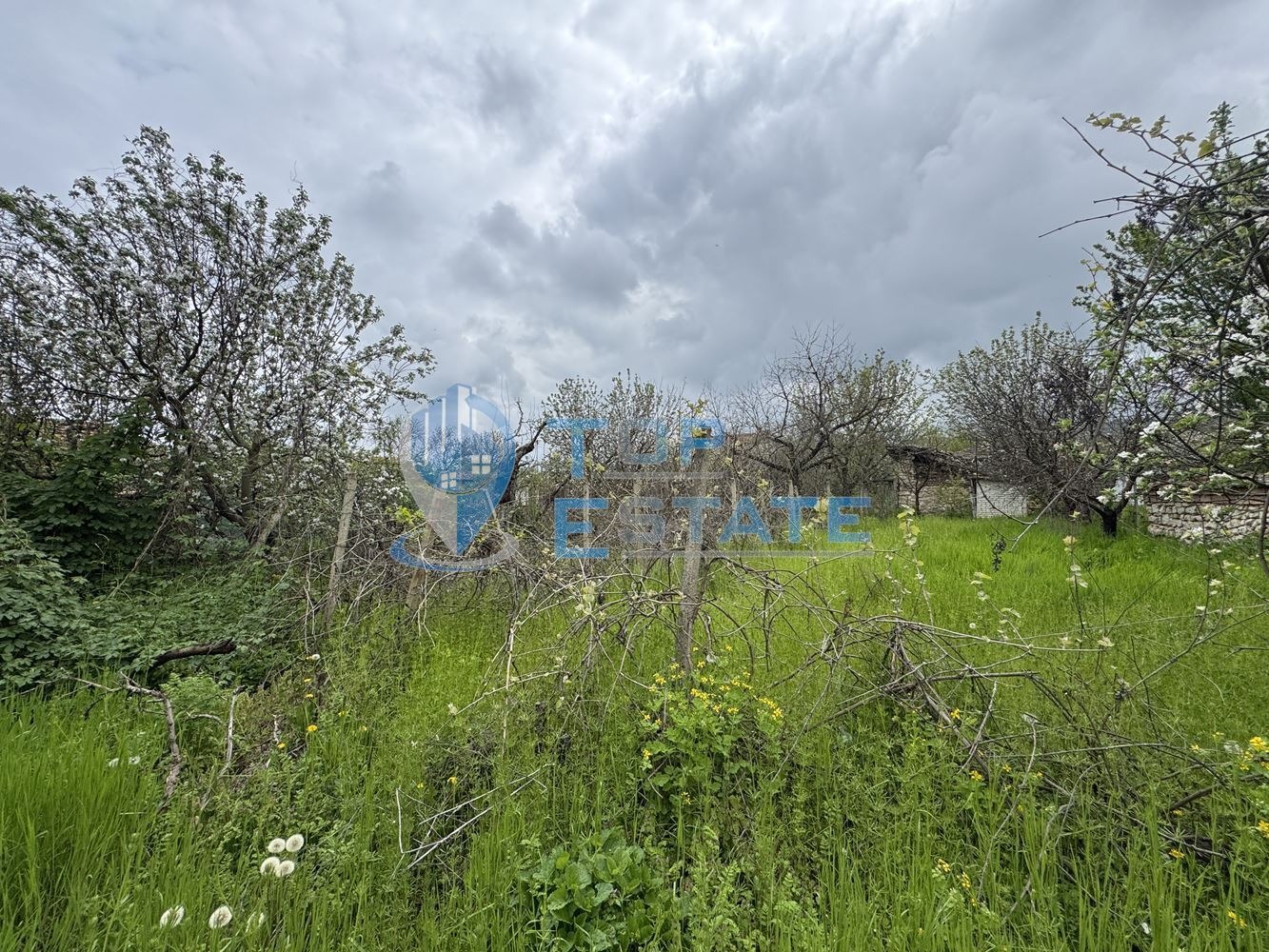 ������� ���� | Imot.bg � ����������� 12