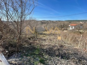 ����� ������� ������,���� �����, �-� ���� ���