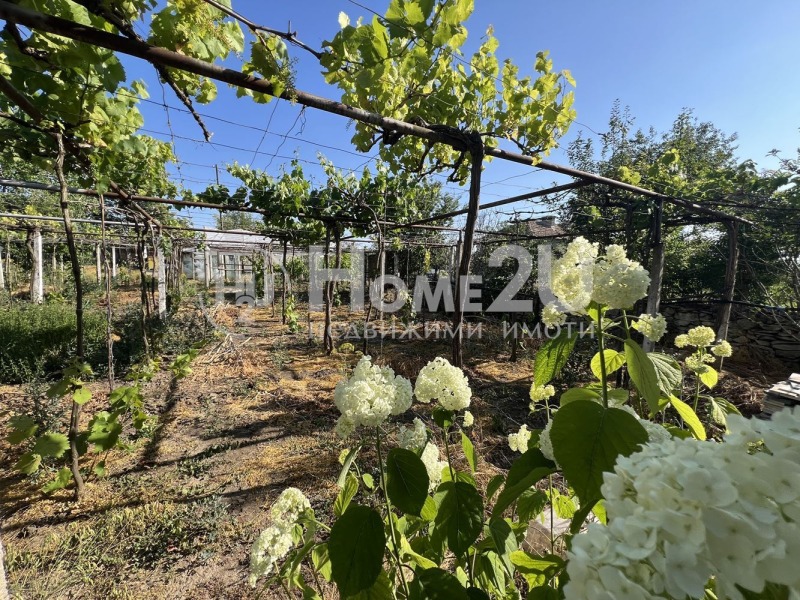 Na sprzedaż  Dom region Warny , Neofit Rilski , 176 mkw | 12365747 - obraz [14]