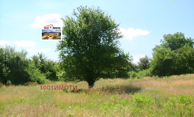 Продается  Дом область Добрич , Бдинци , 50 кв.м | 95593677 - изображение [4]