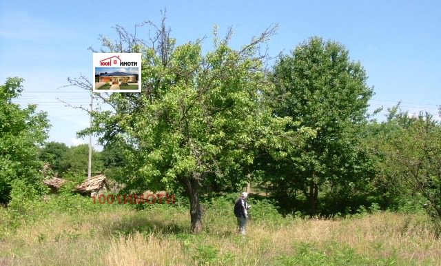 Продается  Дом область Добрич , Бдинци , 50 кв.м | 95593677 - изображение [5]