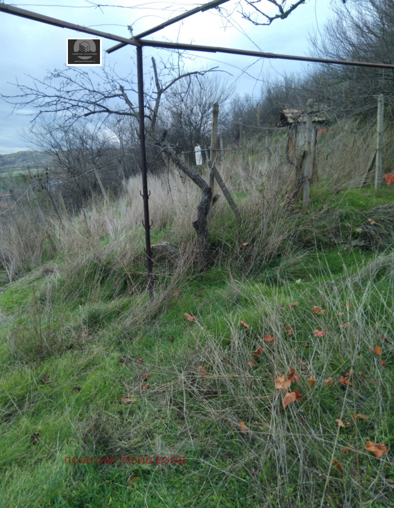 Продава КЪЩА, с. Бураново, област Кюстендил, снимка 4 - Къщи - 52655671