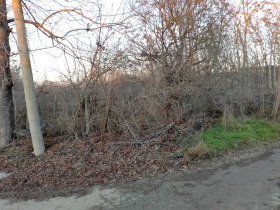 ������� ������ | Imot.bg � ����� ������ 12
