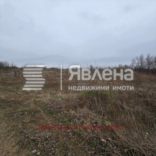Продава ПАРЦЕЛ, с. Новоселци, област Видин, снимка 2 - Парцели - 54085458