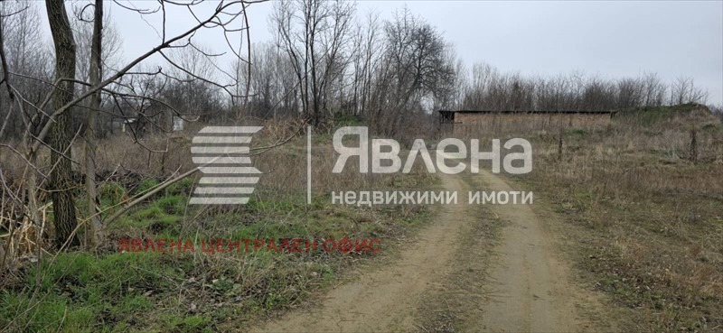 Продава ПАРЦЕЛ, с. Новоселци, област Видин, снимка 5 - Парцели - 54085458