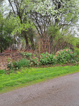 ����� ������� ����,�. ���������, ������ �����