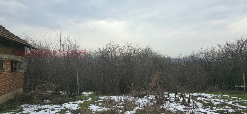 Продава КЪЩА, гр. Лом, област Монтана, снимка 12 - Къщи - 52988524