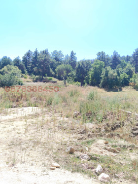 ������� ������ | Imot.bg � ����� ������ 10