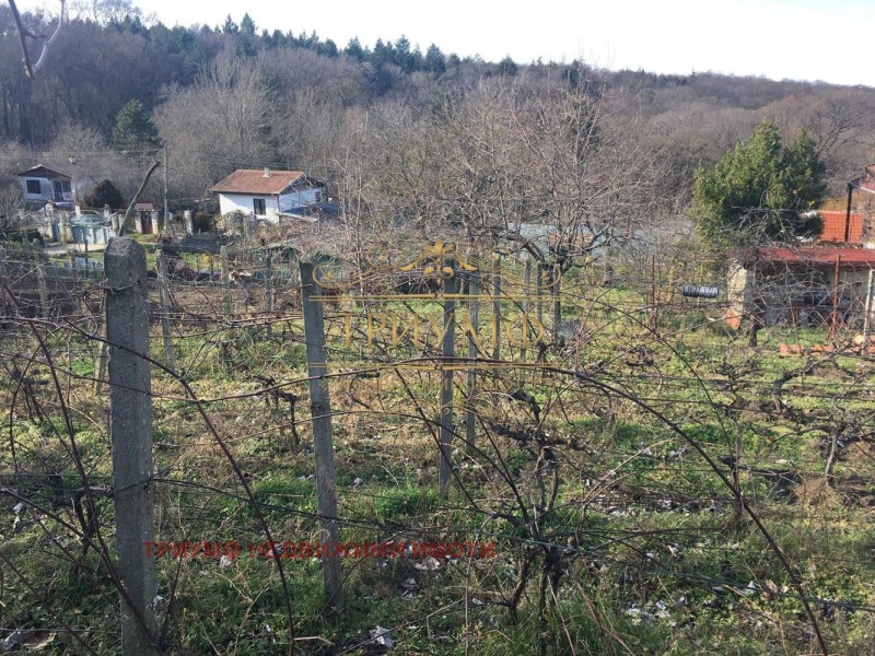 Продава  Парцел град Варна , м-т Боровец - север , 588 кв.м | 21001505 - изображение [6]