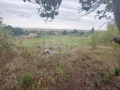 Продава КЪЩА, област Добрич, с. Генерал Колево • 24000 лв. • 85286671 — Holmes.bg