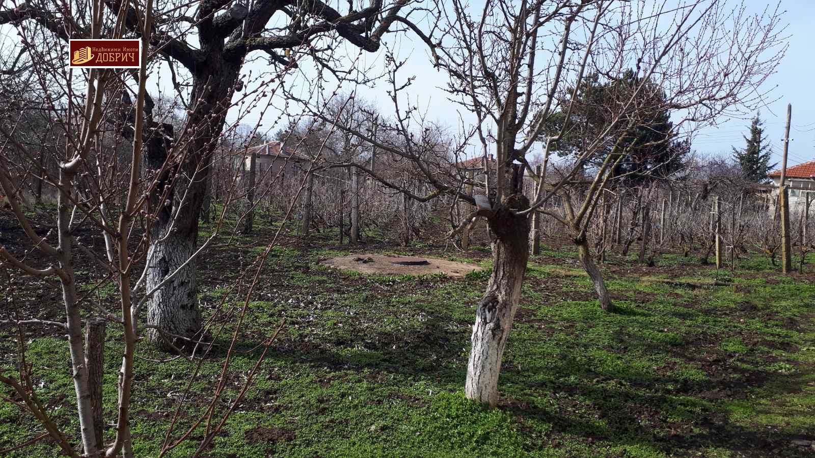 ������� ���� | Imot.bg � ����������� 2