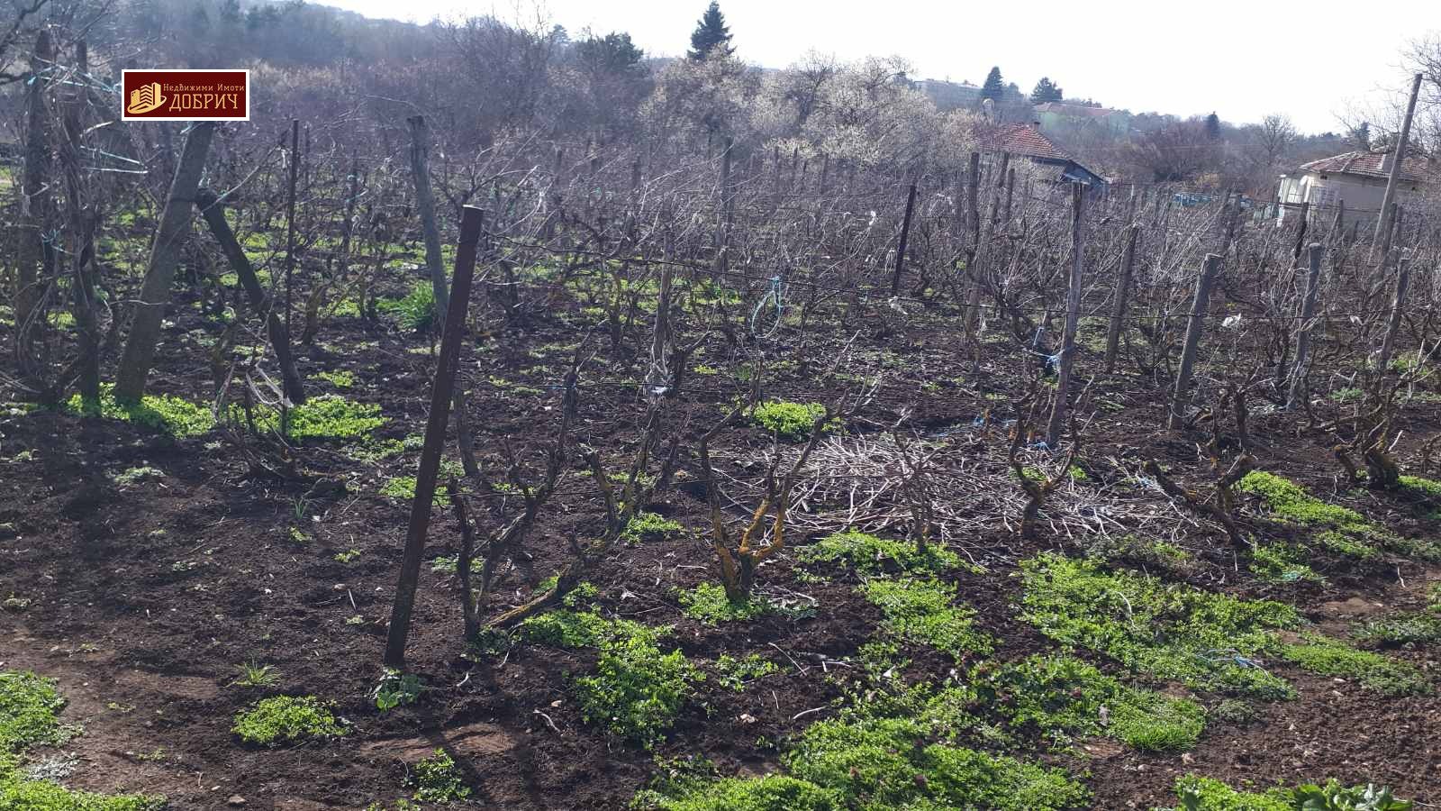 ������� ���� | Imot.bg � ����������� 4