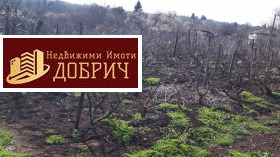 ������� ���� | Imot.bg � ����� ������ 4