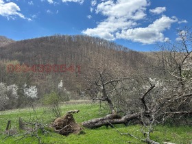 ������� ������ | Imot.bg � ����� ������ 5