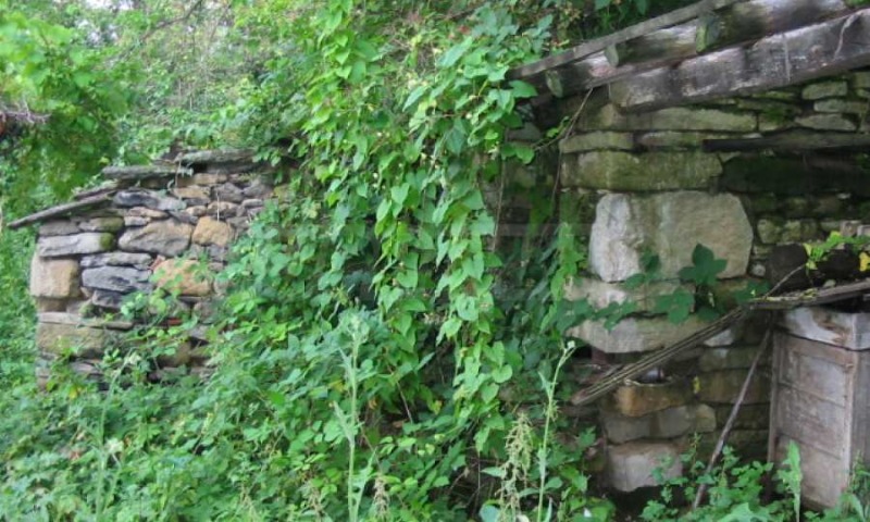 Продава КЪЩА, с. Радовци, област Велико Търново, снимка 5 - Къщи - 44288882