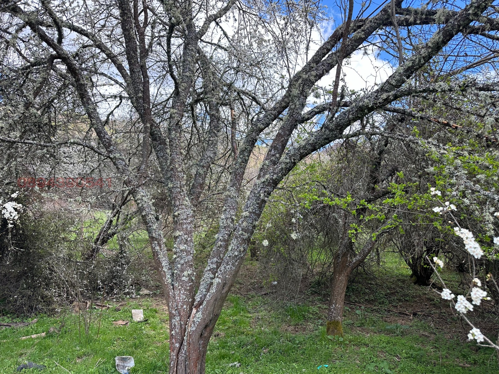 Продава ПАРЦЕЛ, с. Огоя, област София област, снимка 3 - Парцели - 55081236