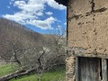 Продава ПАРЦЕЛ, с. Огоя, област София област, снимка 6
